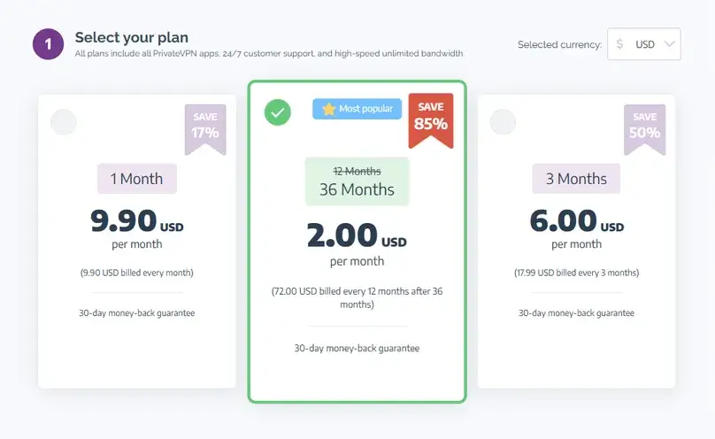 PrivateVPN pricing page showing monthly and longer-term plan options